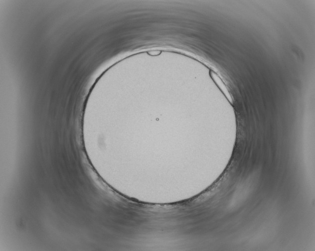 X0000111621534200908281102