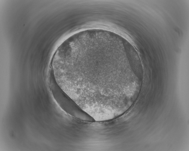 X0000111621536200908281102