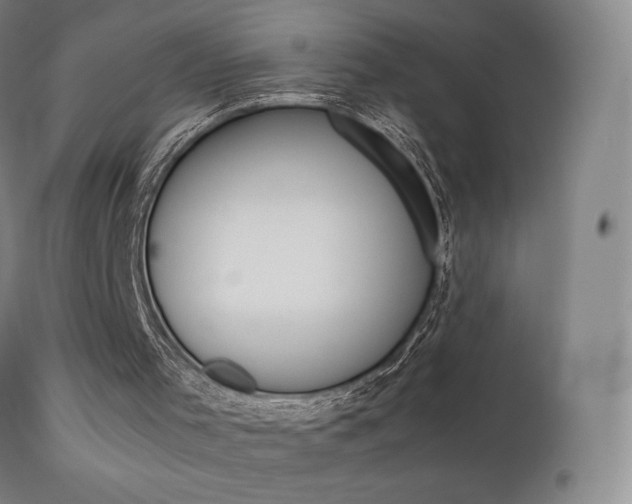 X0000111630001200907171140