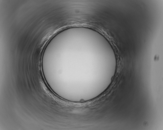 X0000111630002200907171140
