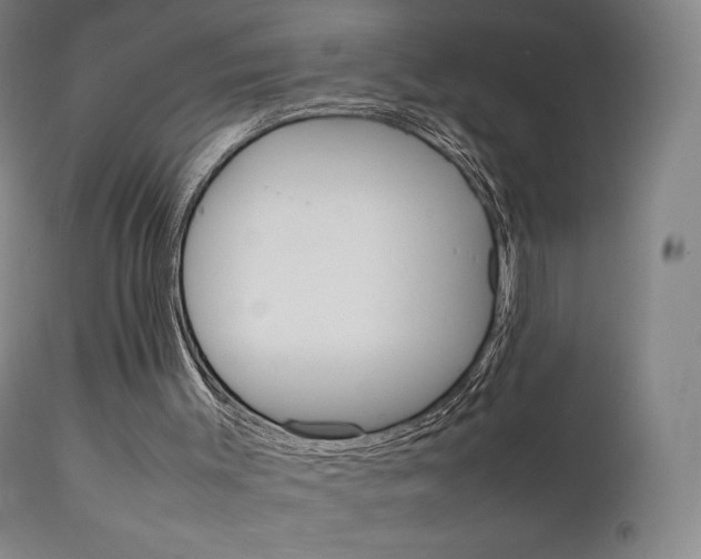 X0000111630003200907171140