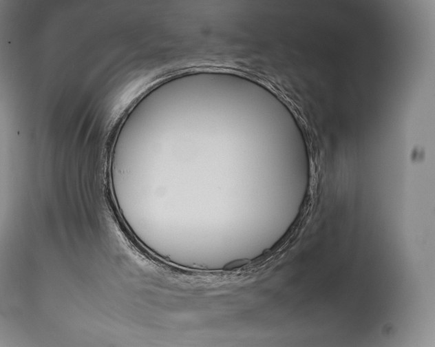 X0000111630005200907171140
