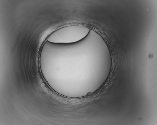 X0000111630006200907171140