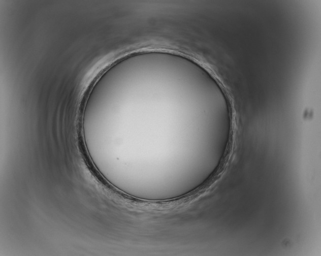 X0000111630007200907171140