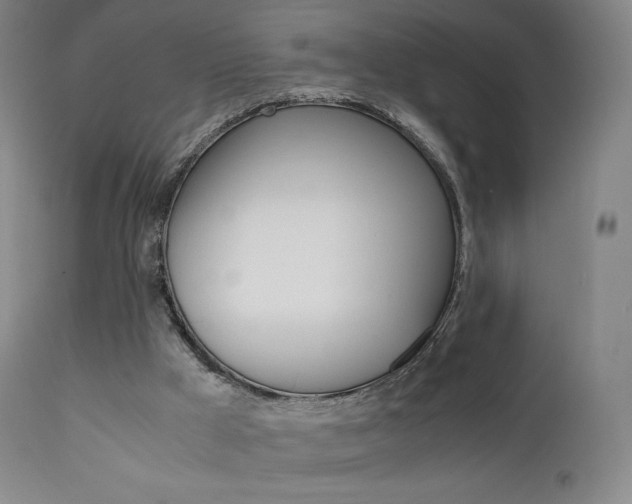 X0000111630009200907171140