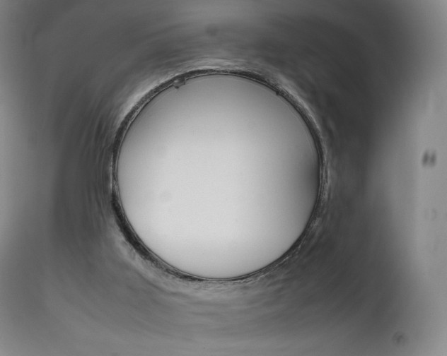 X0000111630011200907171140