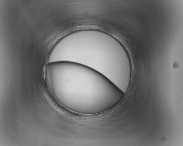 X0000111630013200907171140