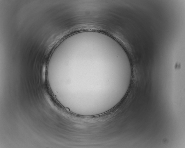 X0000111630014200907171140