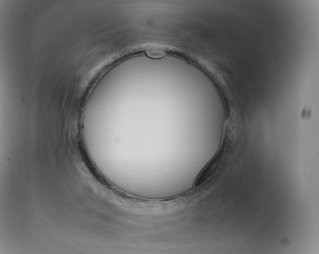 X0000111630015200907171140