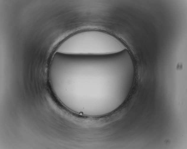 X0000111630016200907171140