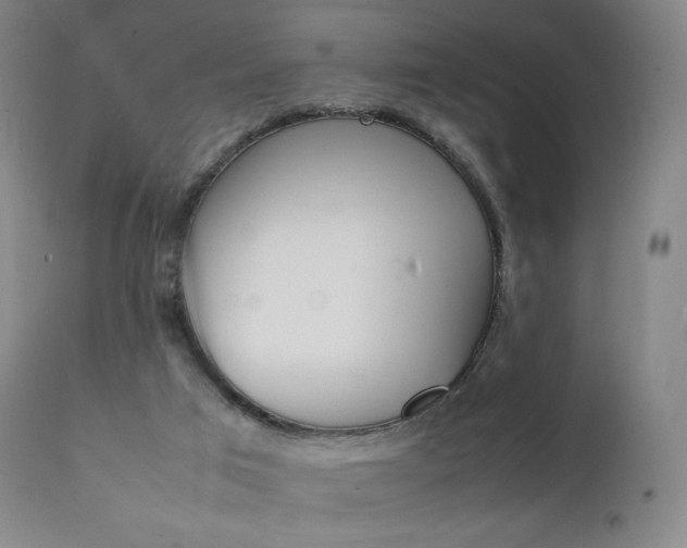 X0000111630017200907171140