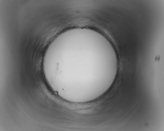 X0000111630018200907171140