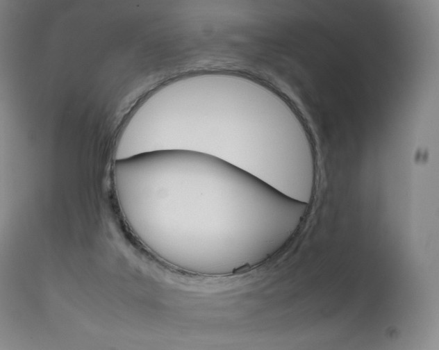 X0000111630019200907171140