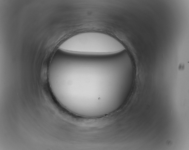 X0000111630021200907171140