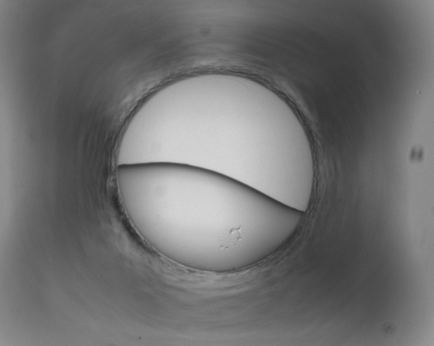 X0000111630023200907171140
