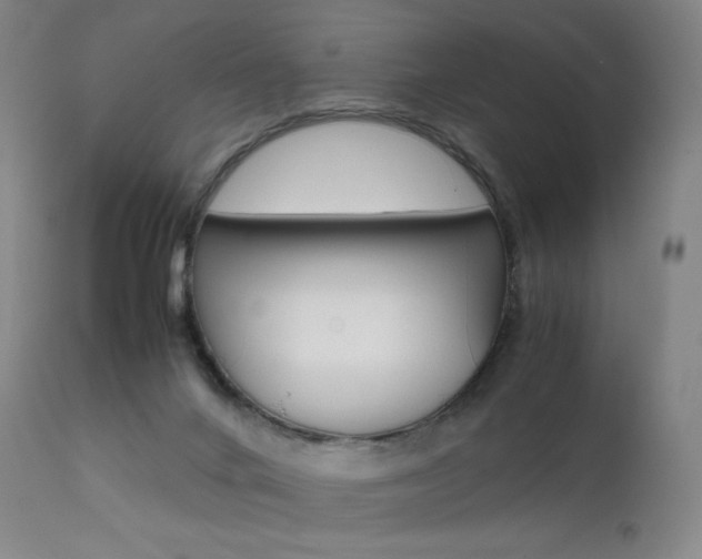 X0000111630024200907171140