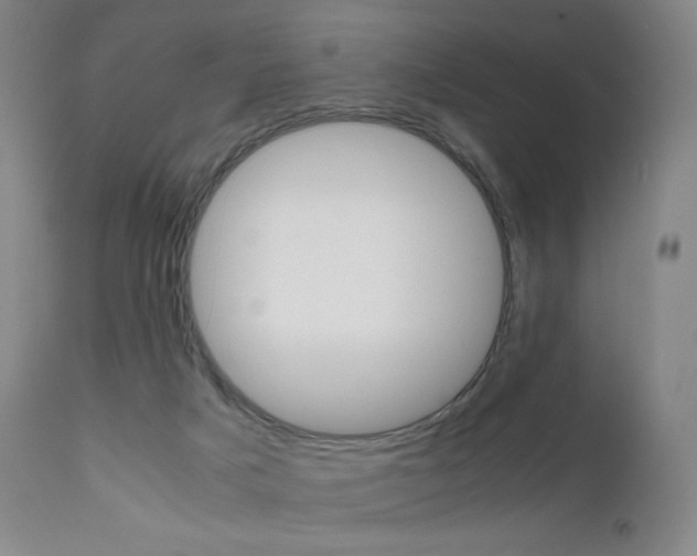 X0000111630025200907171140