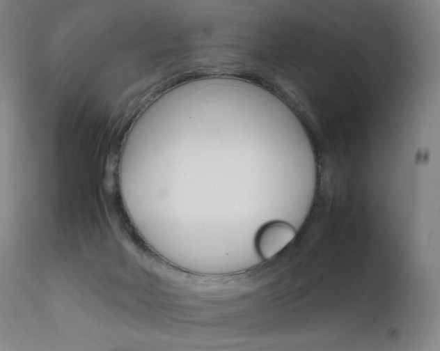 X0000111630026200907171140
