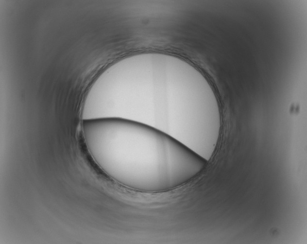 X0000111630027200907171140