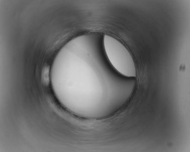 X0000111630028200907171140