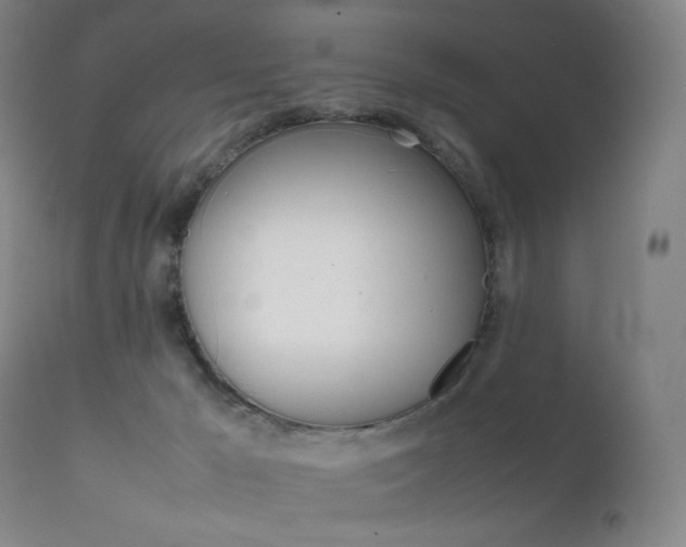 X0000111630029200907171140