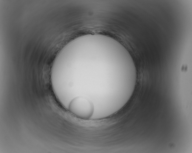 X0000111630030200907171140