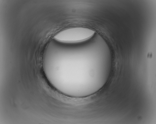 X0000111630031200907171140