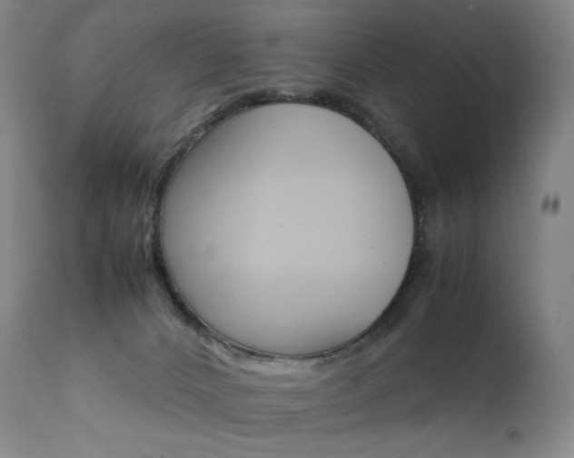 X0000111630032200907171140