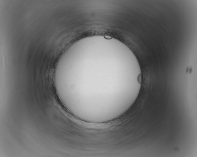 X0000111630034200907171139