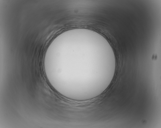 X0000111630035200907171139