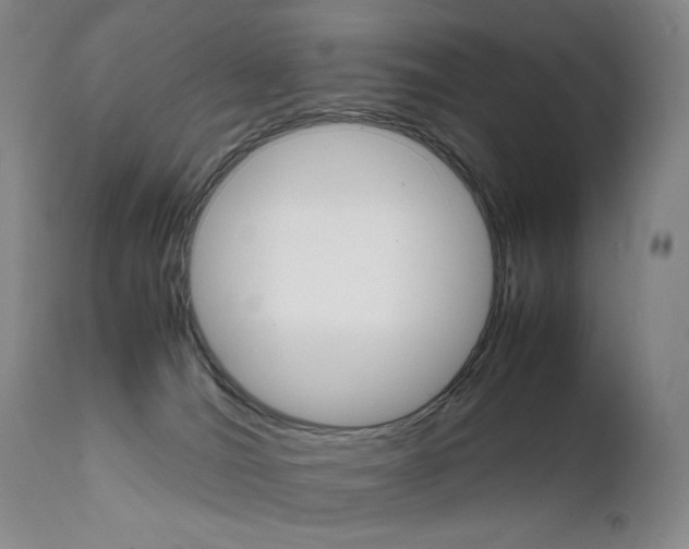 X0000111630036200907171139