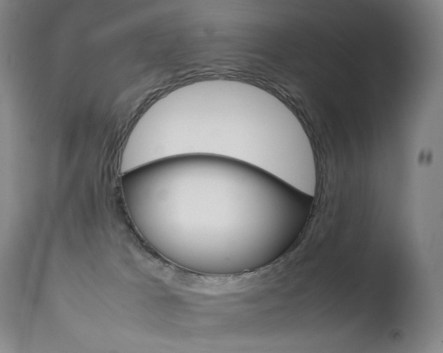 X0000111630037200907171139