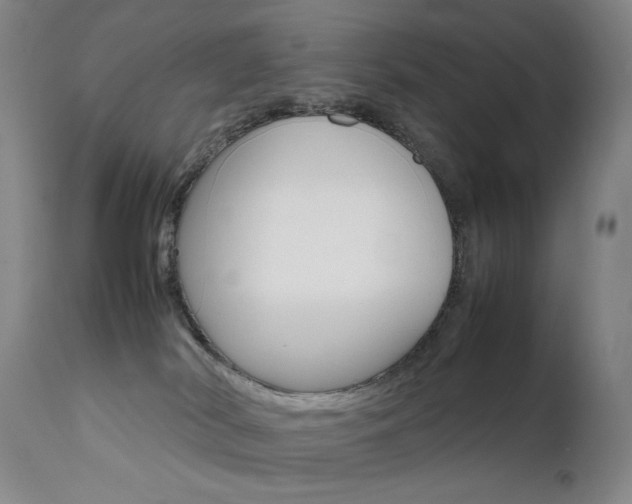 X0000111630038200907171139