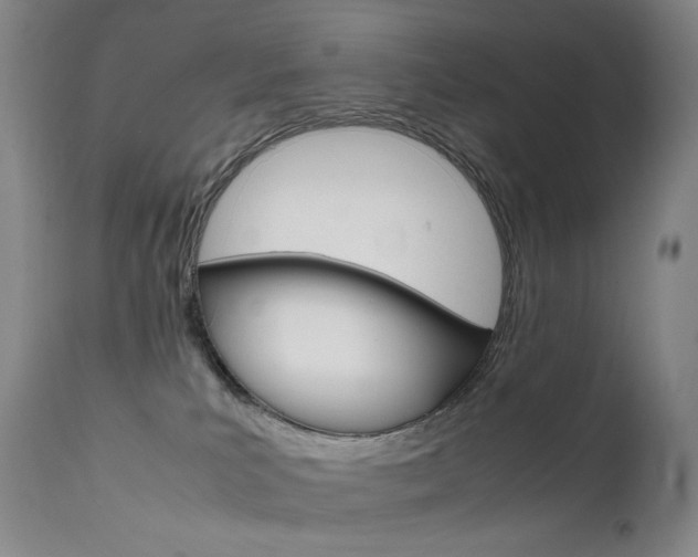 X0000111630039200907171139
