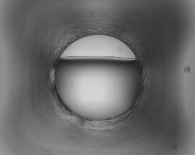X0000111630041200907171139