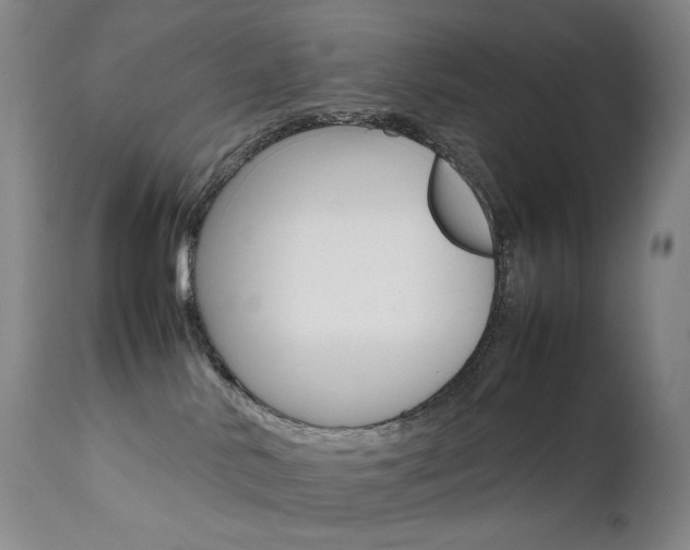 X0000111630042200907171139