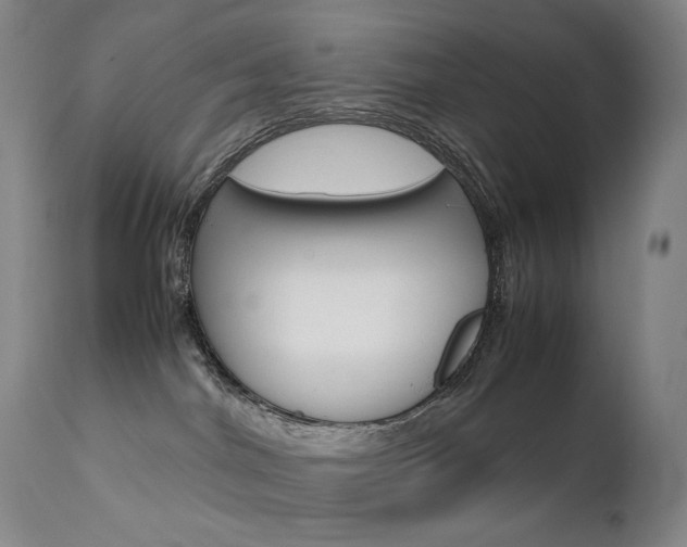 X0000111630044200907171139
