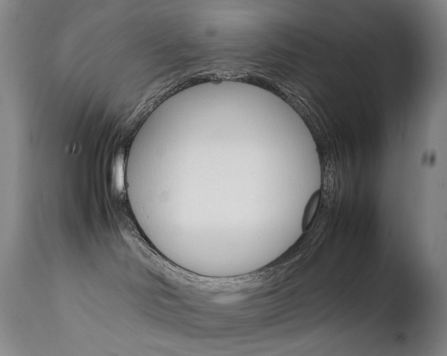 X0000111630046200907171139