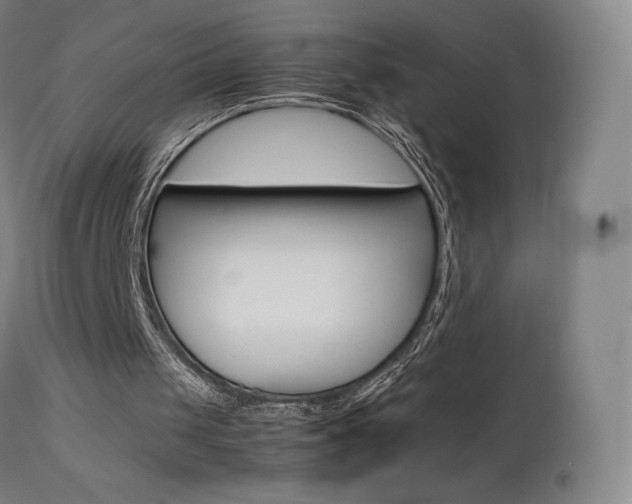 X0000111630049200907171139