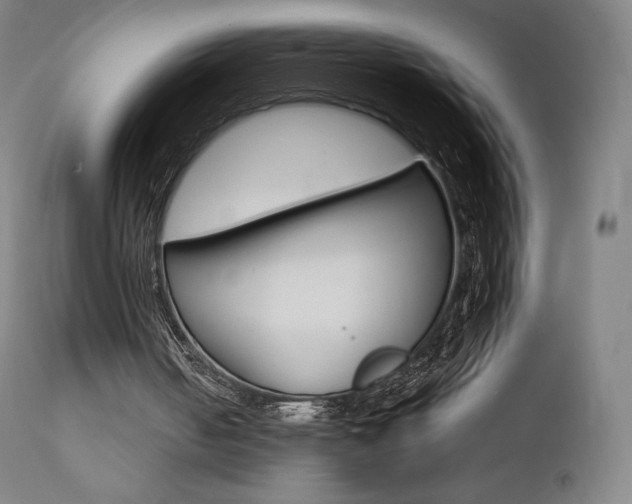 X0000111630050200907171139