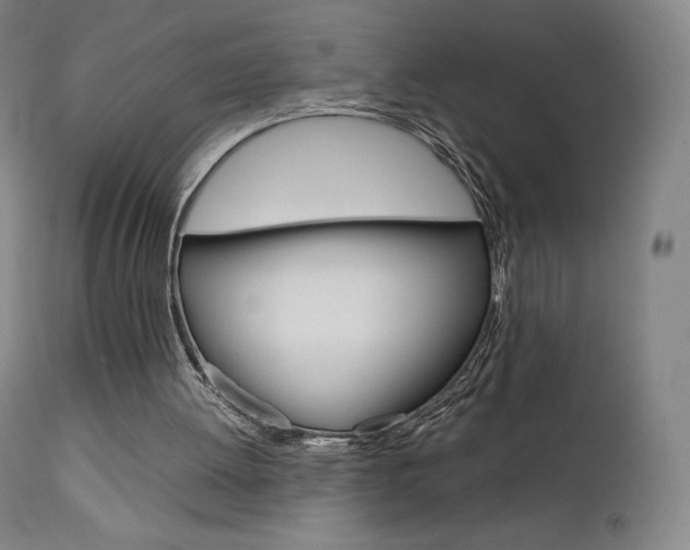 X0000111630052200907171139