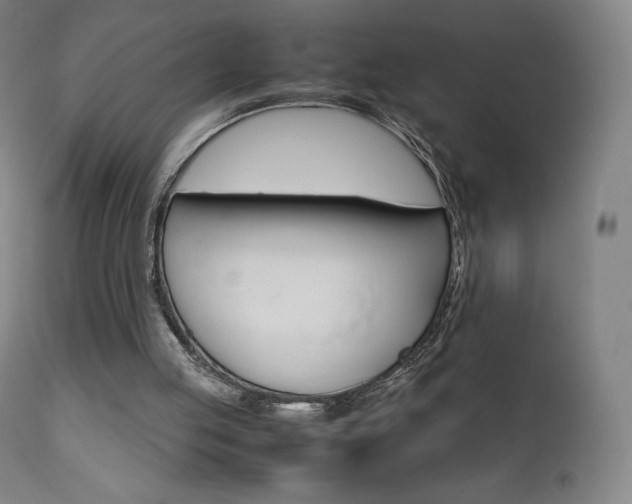 X0000111630053200907171139