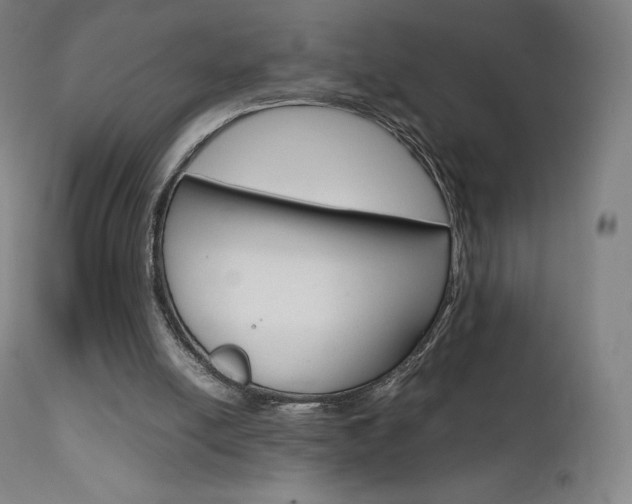 X0000111630054200907171139