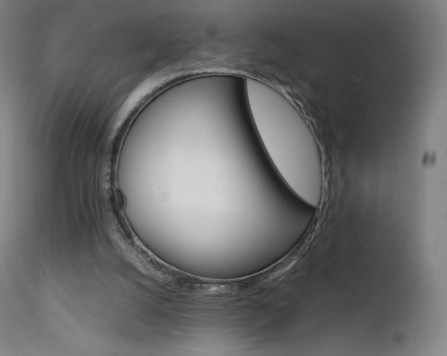 X0000111630056200907171139