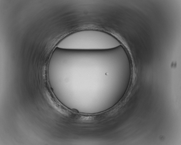 X0000111630057200907171139