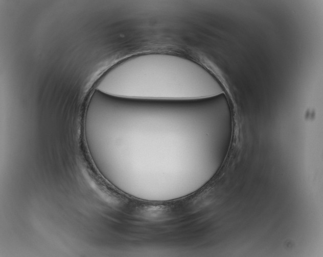 X0000111630059200907171139
