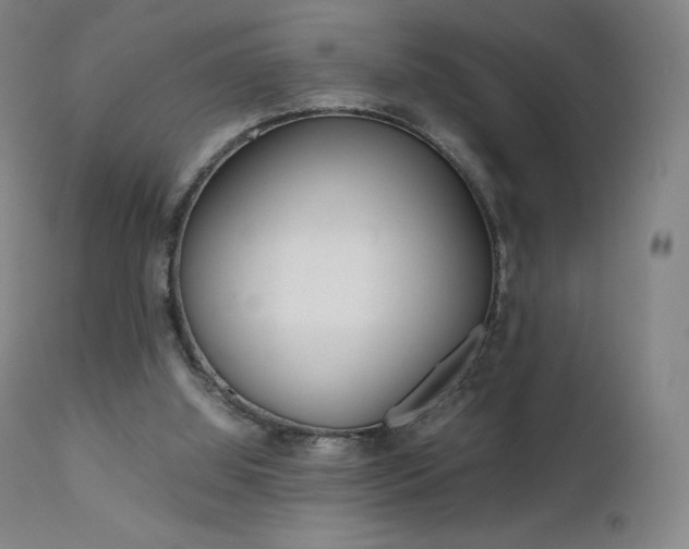 X0000111630060200907171139