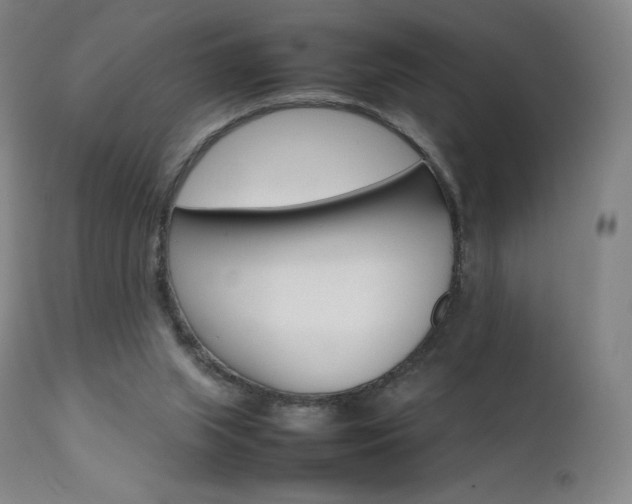 X0000111630063200907171139