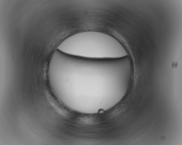 X0000111630065200907171139