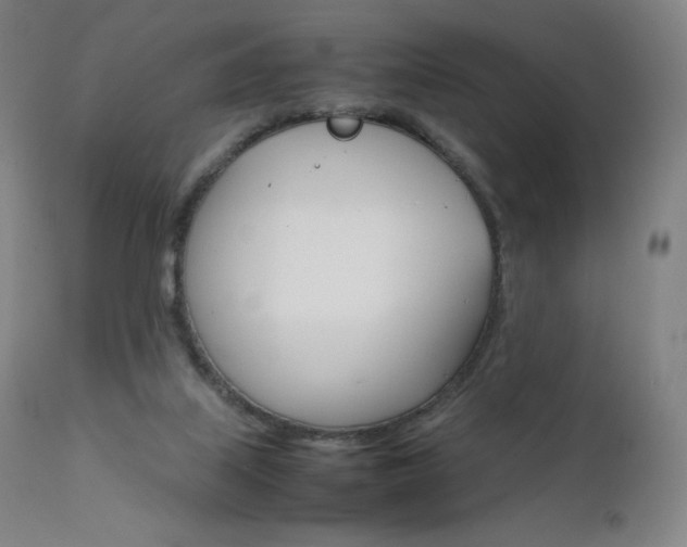 X0000111630067200907171139